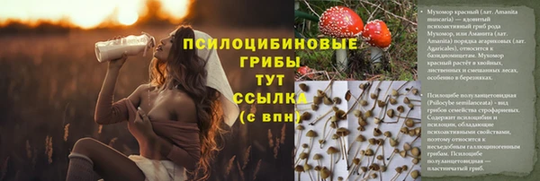 дурь Горно-Алтайск
