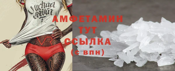 крисы Горняк