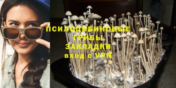 дурь Горно-Алтайск