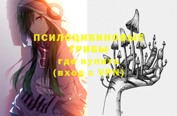 дурь Горно-Алтайск