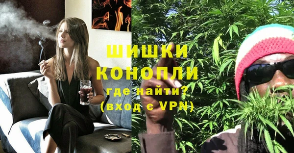 дурь Горно-Алтайск