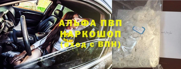крисы Горняк
