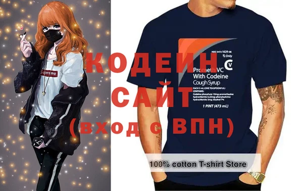 крисы Горняк