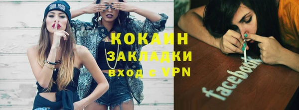 крисы Горняк