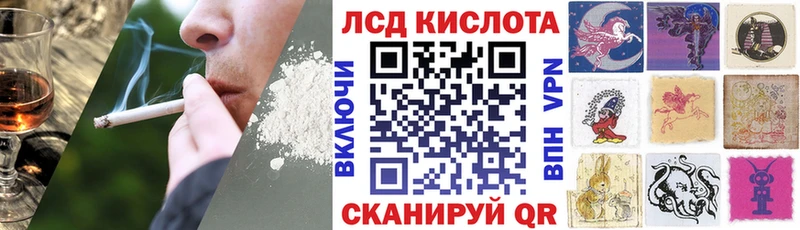 дарк нет наркотические препараты  Шахты  Марки NBOMe 1,5мг  цены наркотик 